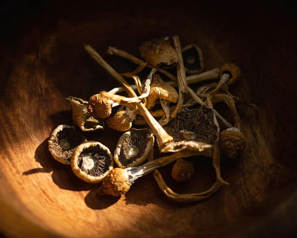 Magic mushrooms in wooden bowl