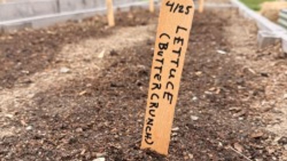 New garden beds at the Casco Bay Community Garden will soon be filled. (WGME)