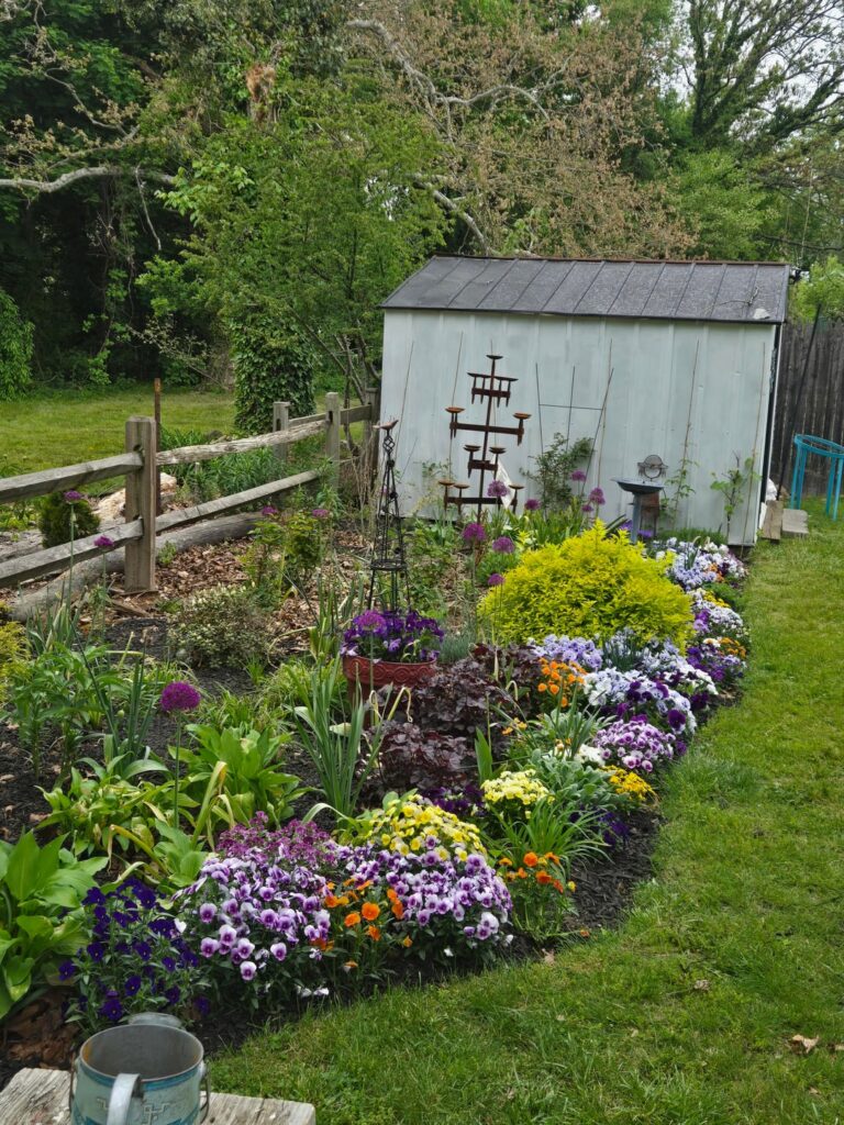 🌸🌸