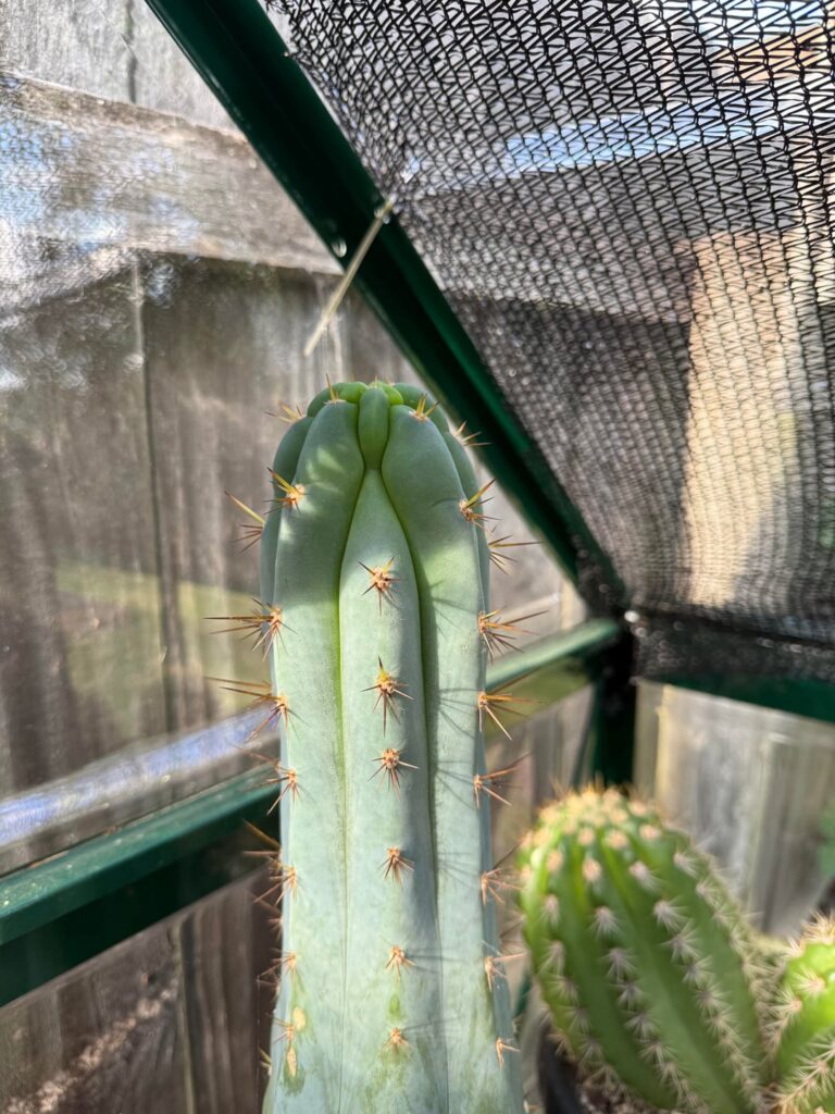 What’s happening here