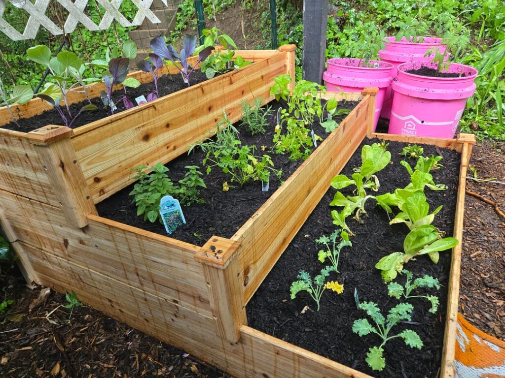 This vegetable garden is the culmination of my backyard makeover This vegetable garden is the culmination of my backyard makeover