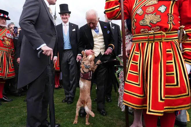 King Charles III meets hearing dog Vegas, trained by the Hearing Dogs for Deaf People charity