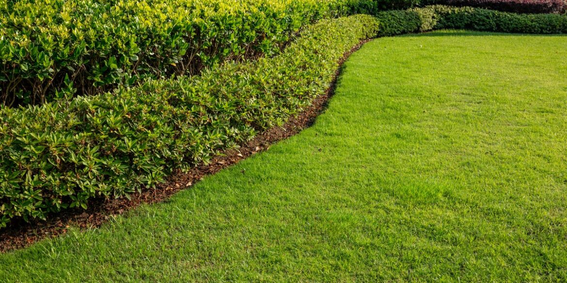 8 Expert-Approved Ways to Prep Your Lawn Right Now So It’s Lush and Green All Summer 8 Expert-Approved Ways to Prep Your Lawn Right Now So It’s Lush and Green All Summer