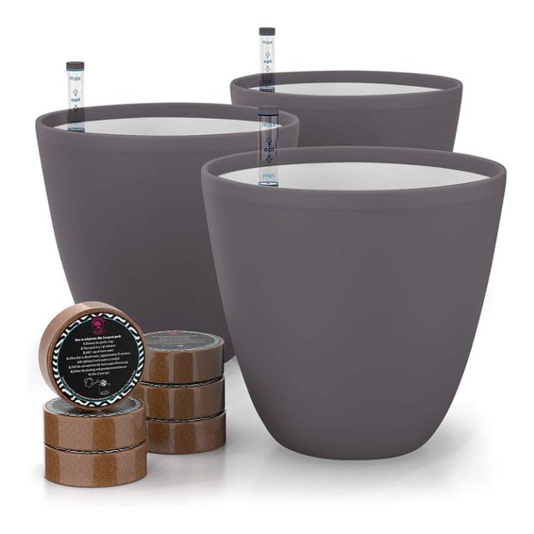 The Gardenix Decor Self-Watering Pots and included coco coir pods on a white background.