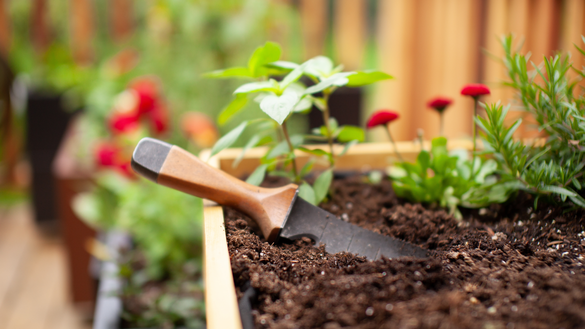 Transform your backyard for less this summer: 5 garden tools I recommend under $25
