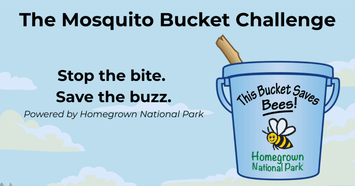 Homegrown national park mosquito bucket challenge Homegrown national park mosquito bucket challenge