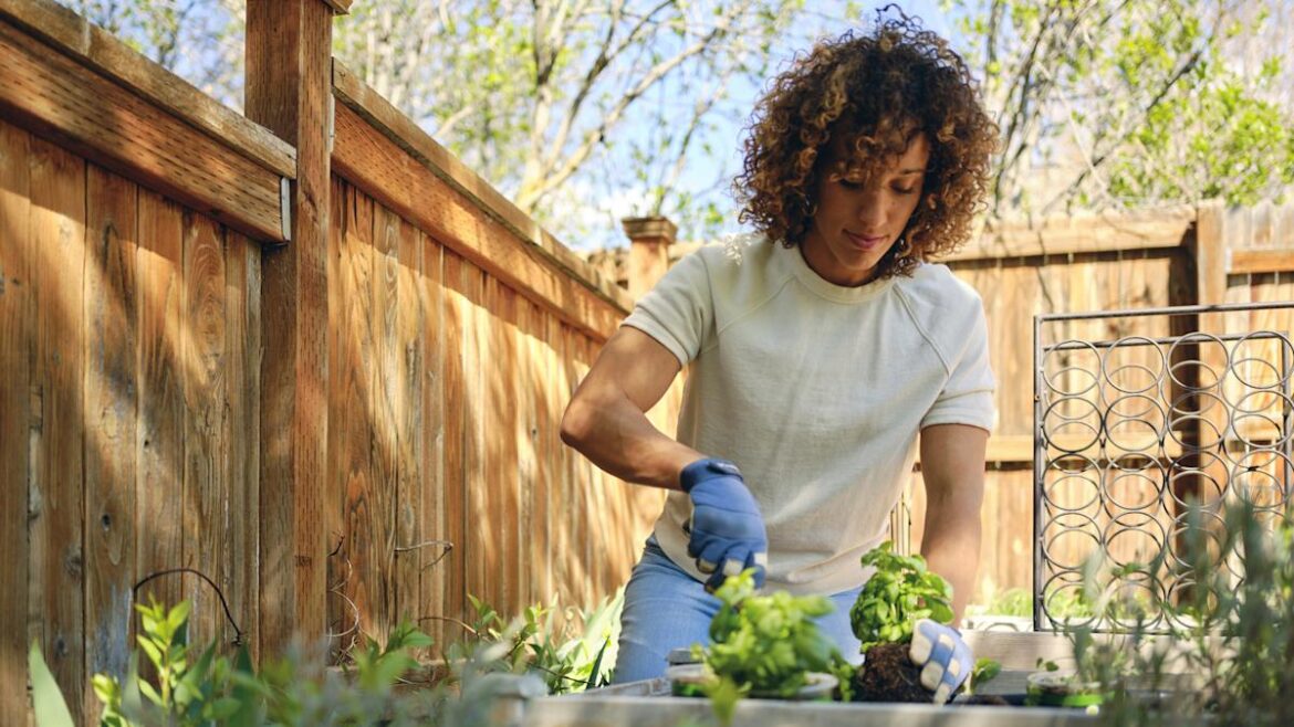 Deter Garden Pests The Natural Way By Planting These 8 Herbs Deter Garden Pests The Natural Way By Planting These 8 Herbs
