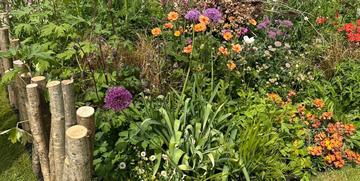 This Bold Colour Pairing Is Everywhere At RHS Malvern — And Is The Secret To Brighter Summer Borders This Bold Colour Pairing Is Everywhere At RHS Malvern — And Is The Secret To Brighter Summer Borders