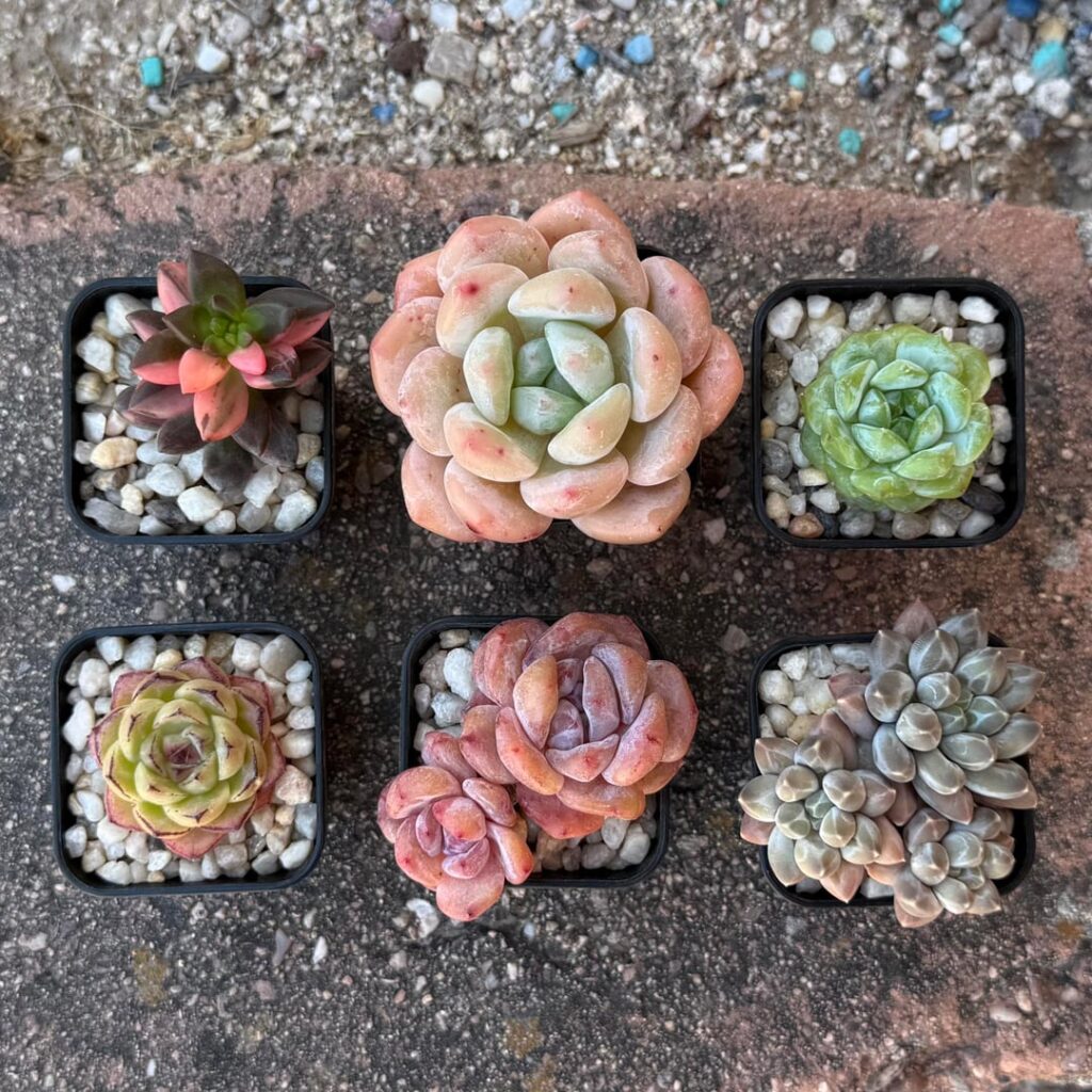 plant mail!! :D