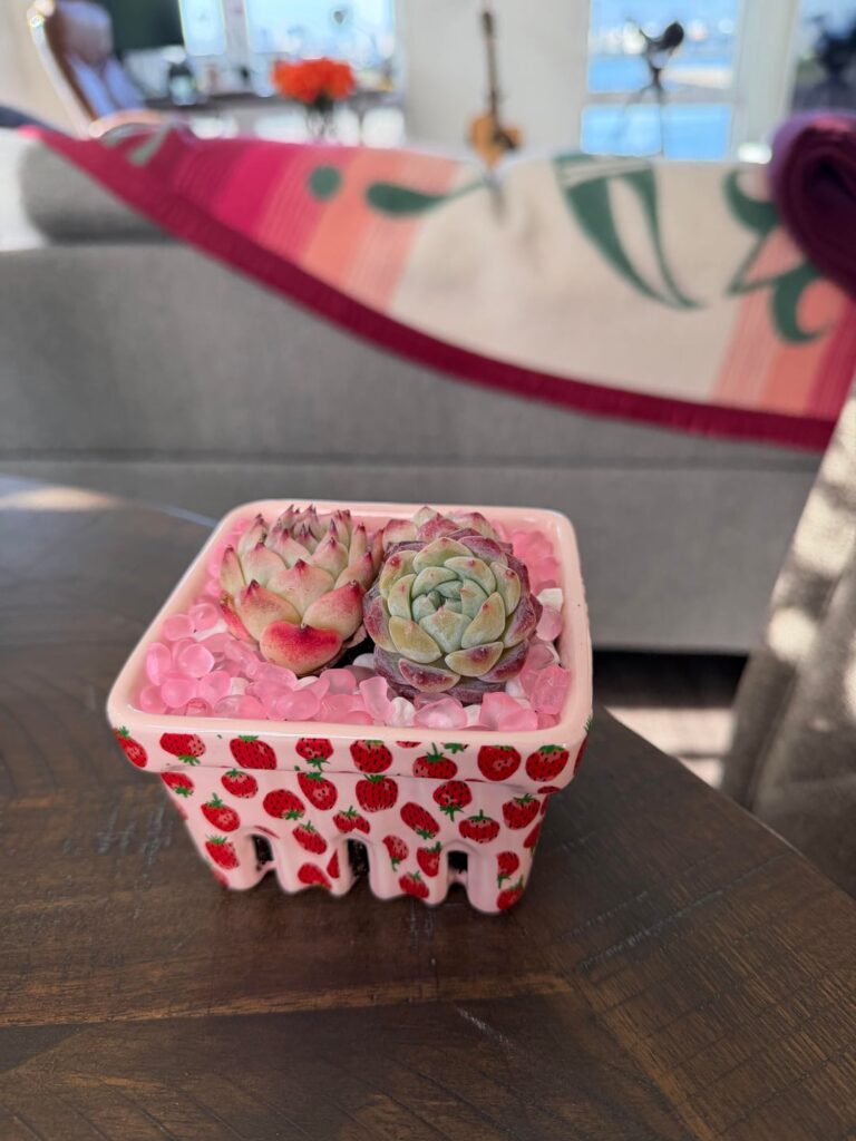 Strawberry