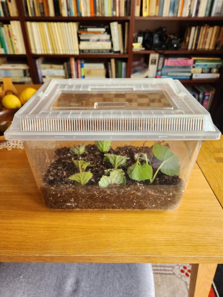 Thoughts on humidity? Thoughts on humidity?