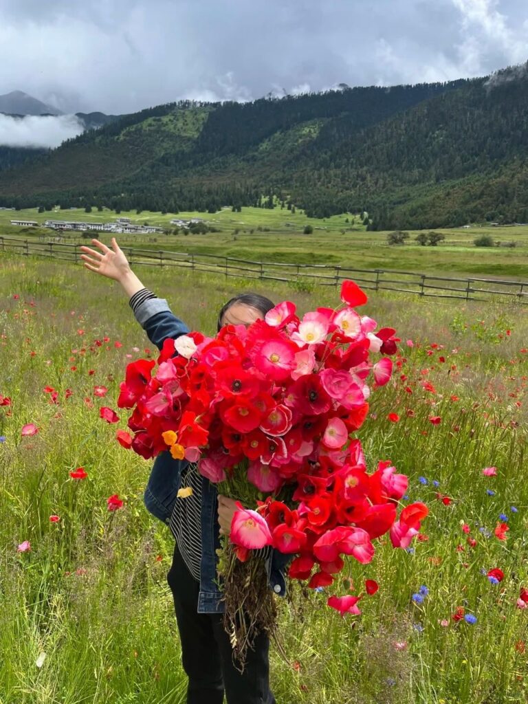 The flowers picked on the grassland are so beautiful.