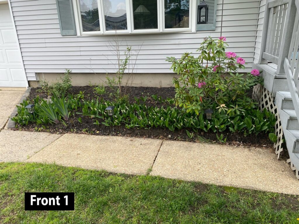 Elders of Gardening Reddit, Please Lend Me Your Guidance