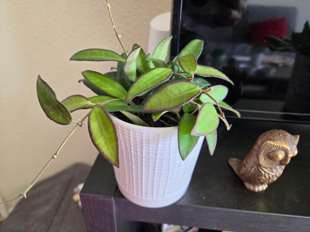 HD finds!