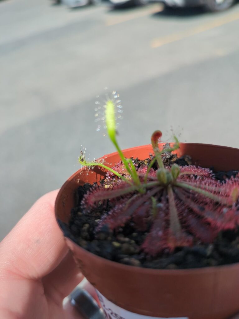 Do I seperate?