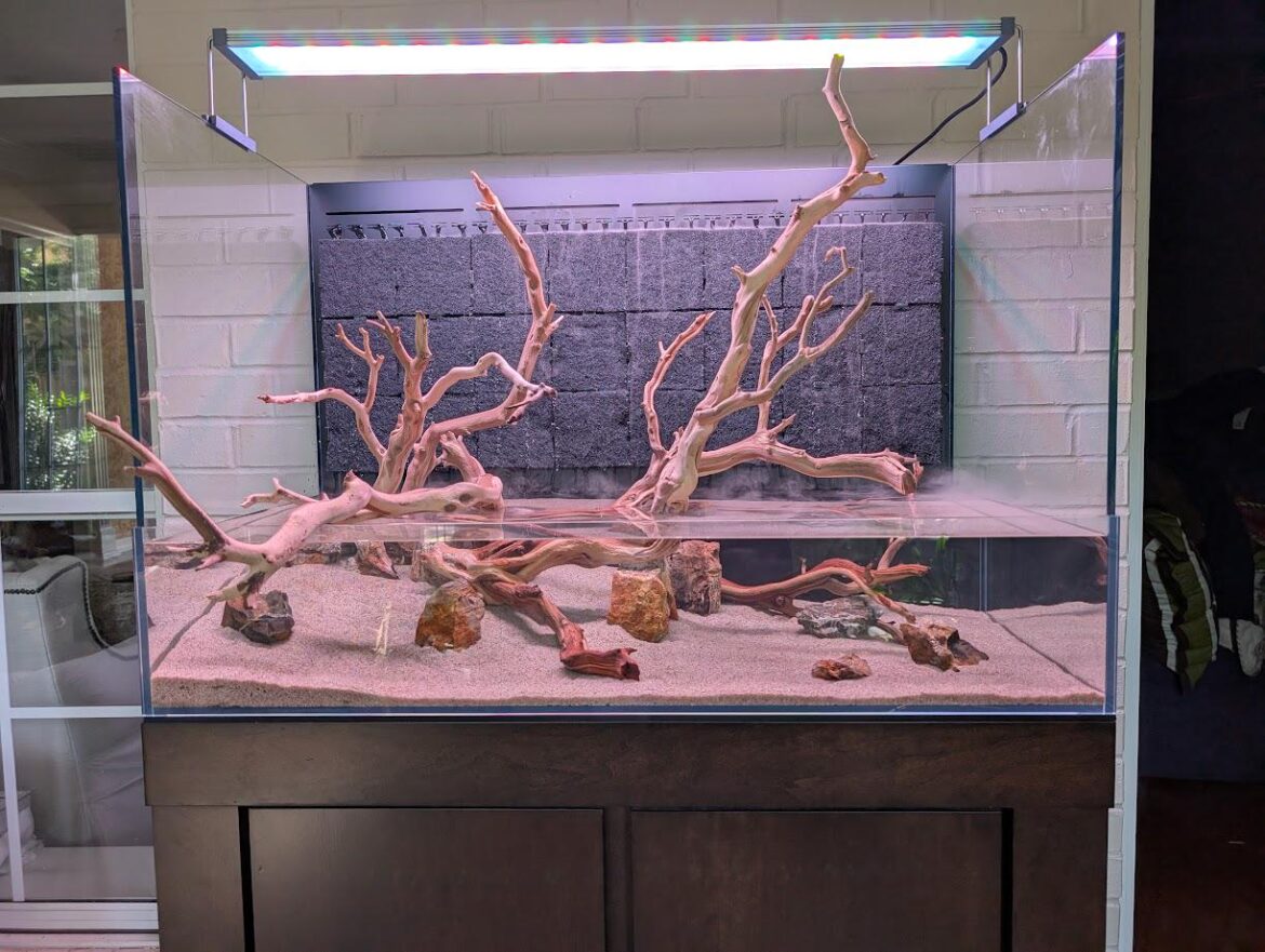 UNS Foresta 90e scape, enough space for Chili Rasboras? UNS Foresta 90e scape, enough space for Chili Rasboras?