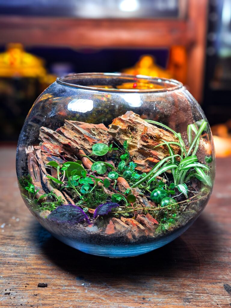 Recent Terrarium Build