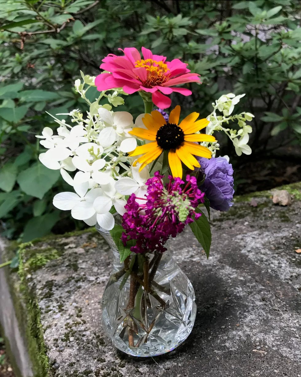 black eyed susan, zinnia, limelight hydrangeas, buddleia, and blueberry smoothie althea in a crystal posy vase on a mossy step in Terri Robertson's garden in 2019