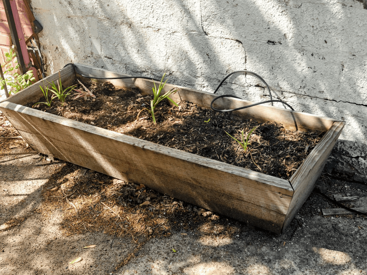 What type of drip system emitters would you use for this 5 ft long annual flower trough? What type of drip system emitters would you use for this 5 ft long annual flower trough?