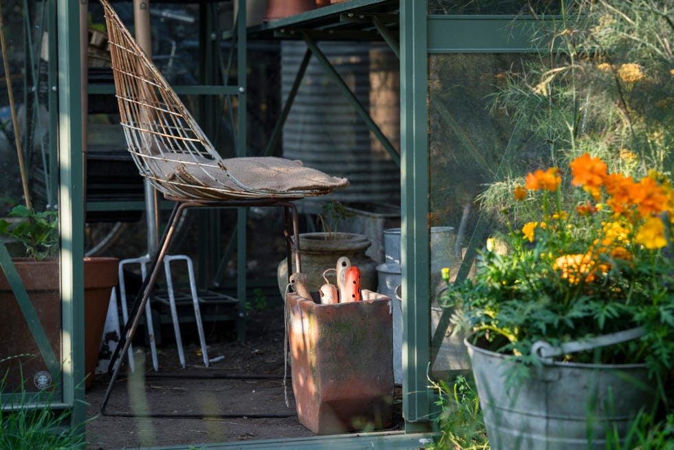 Garden tools next to a chair in a greenhouse.