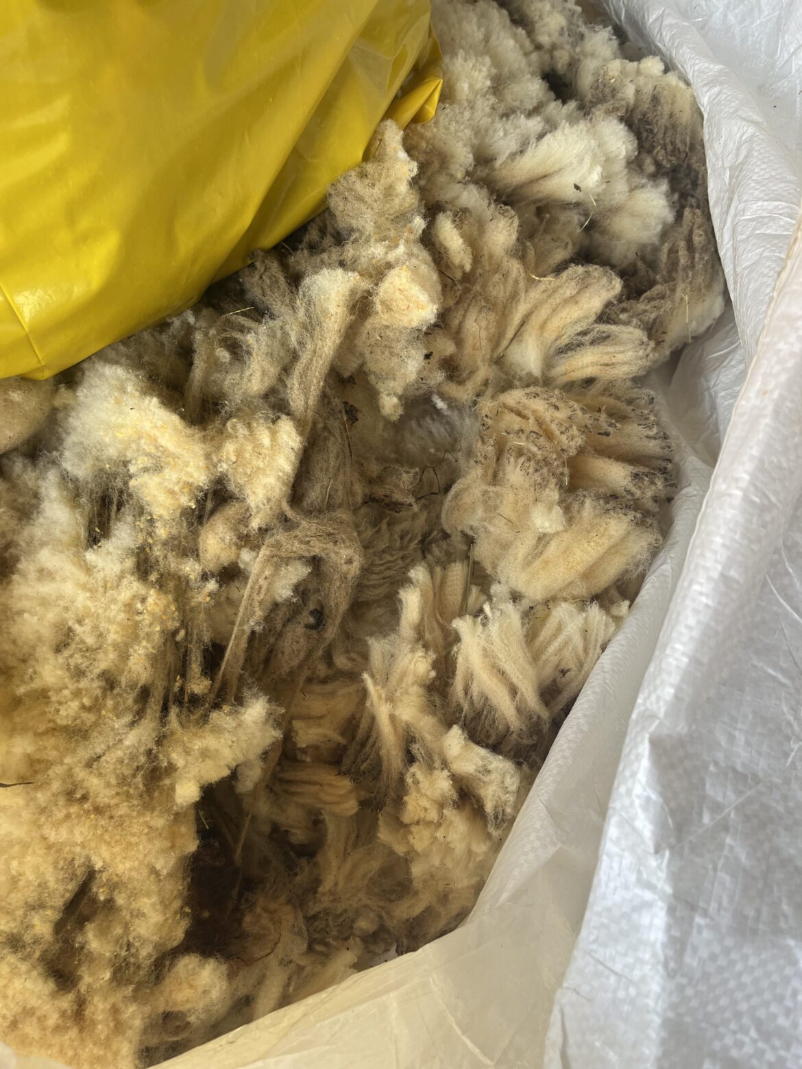 Composting sheep wool