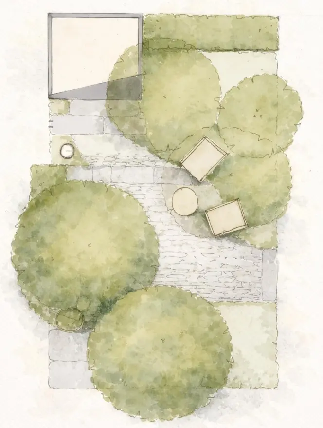 Illustration of a woodland-inspired garden layout with trees, paths, and seating.