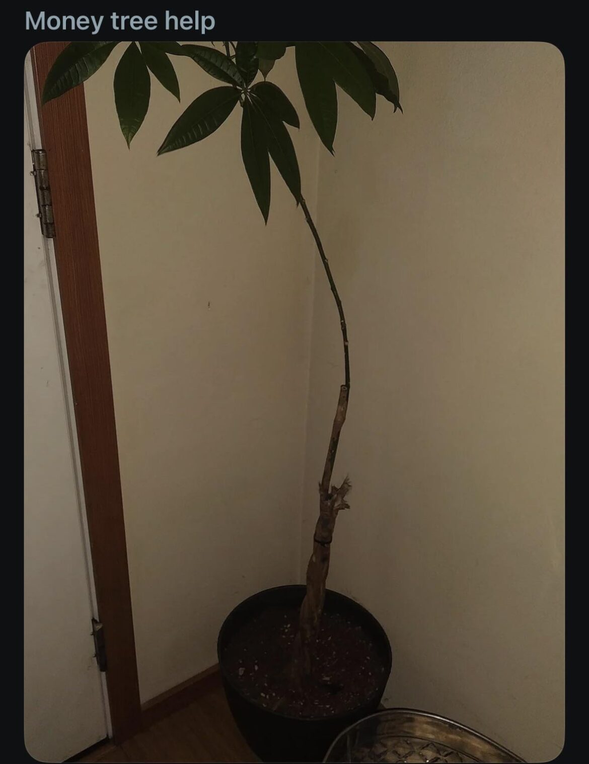 i think it needs an even darker corner