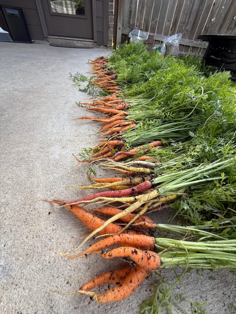 🥕