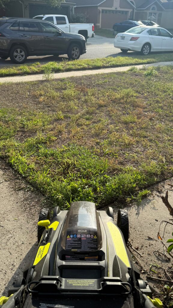 10a Rental Grass “renovate”?