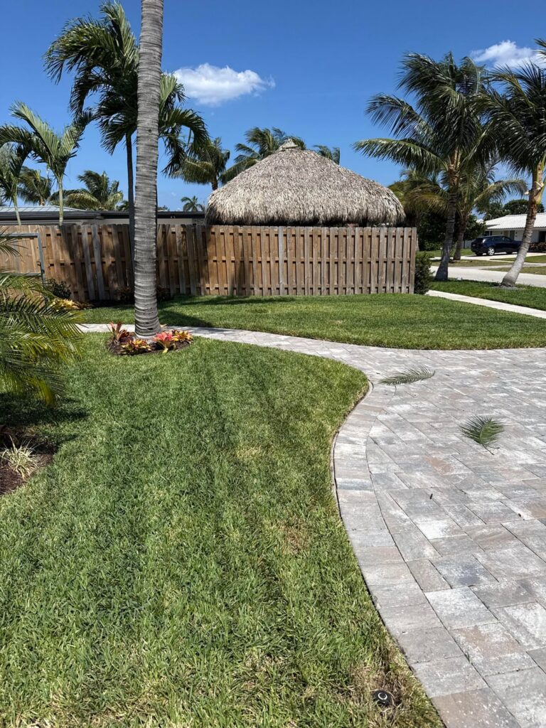 South Florida Lawn Help South Florida Lawn Help