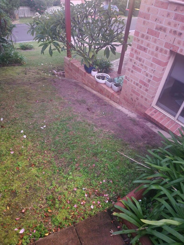Tips for what to do with this area here, side entrance to house. Tips for what to do with this area here, side entrance to house.
