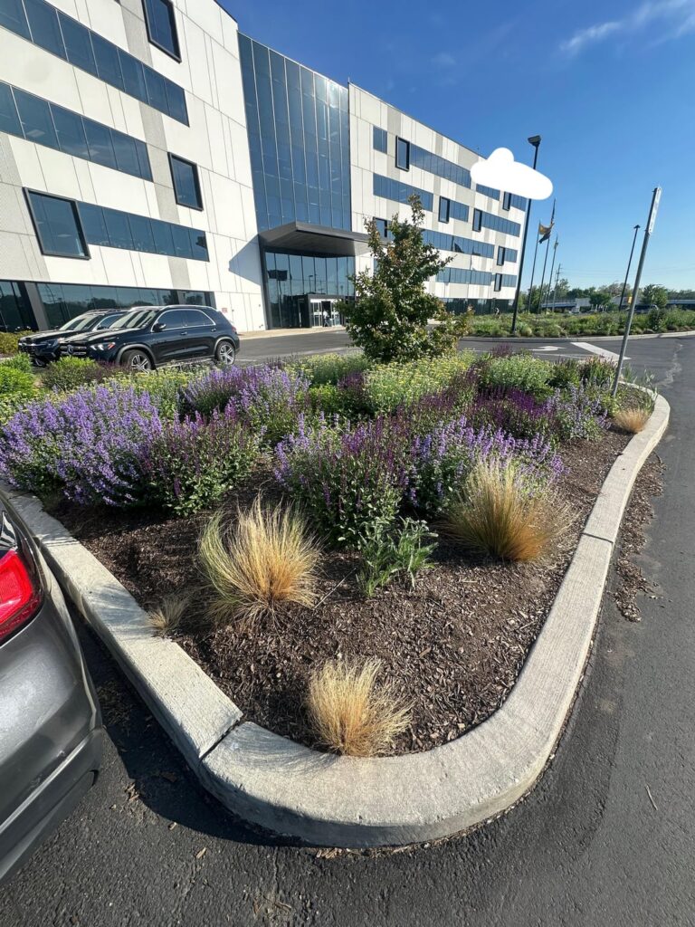 My company HQ building landscapes with native plants