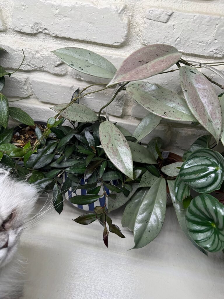 Is this normal?