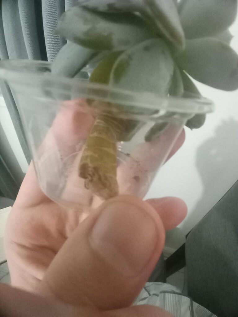 Is this normal?