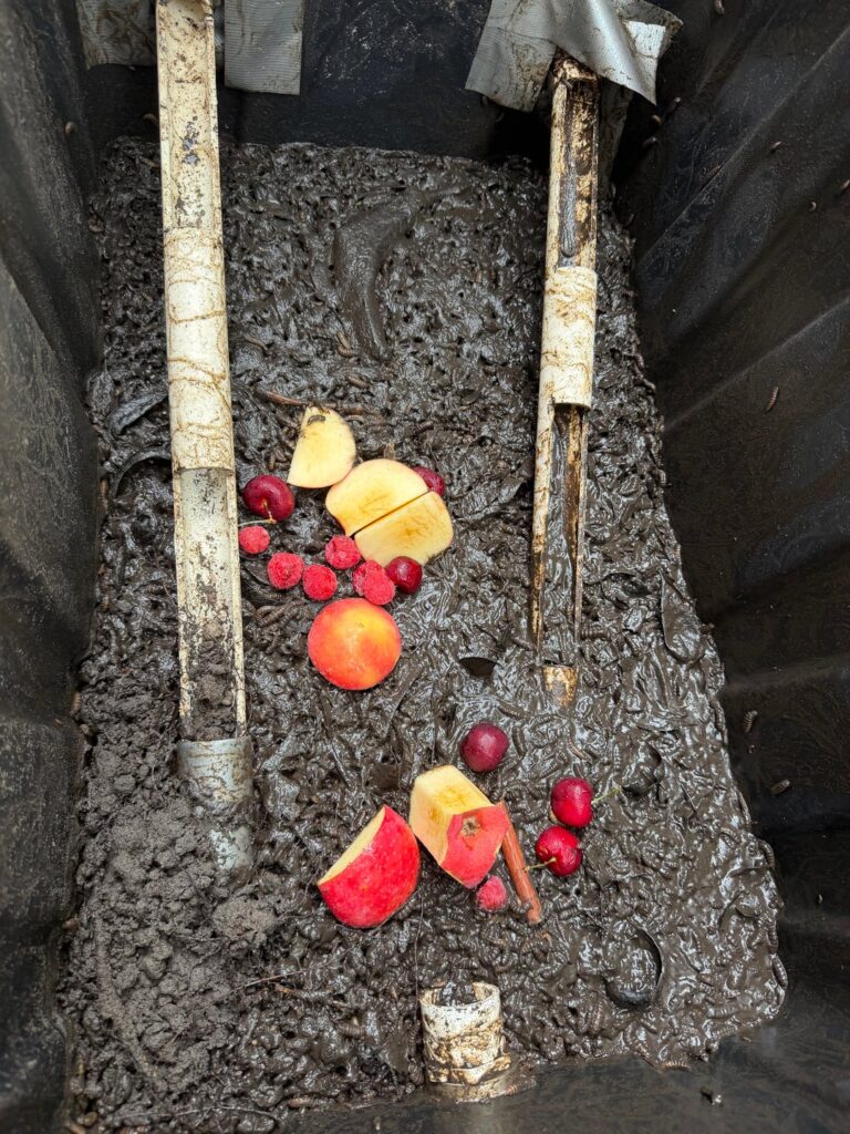 How does my black soldier fly compost look?