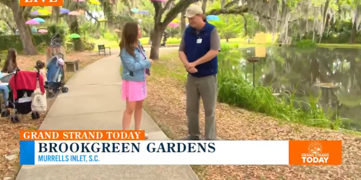 A day at Brookgreen Gardens: Food, art, and upcoming fun