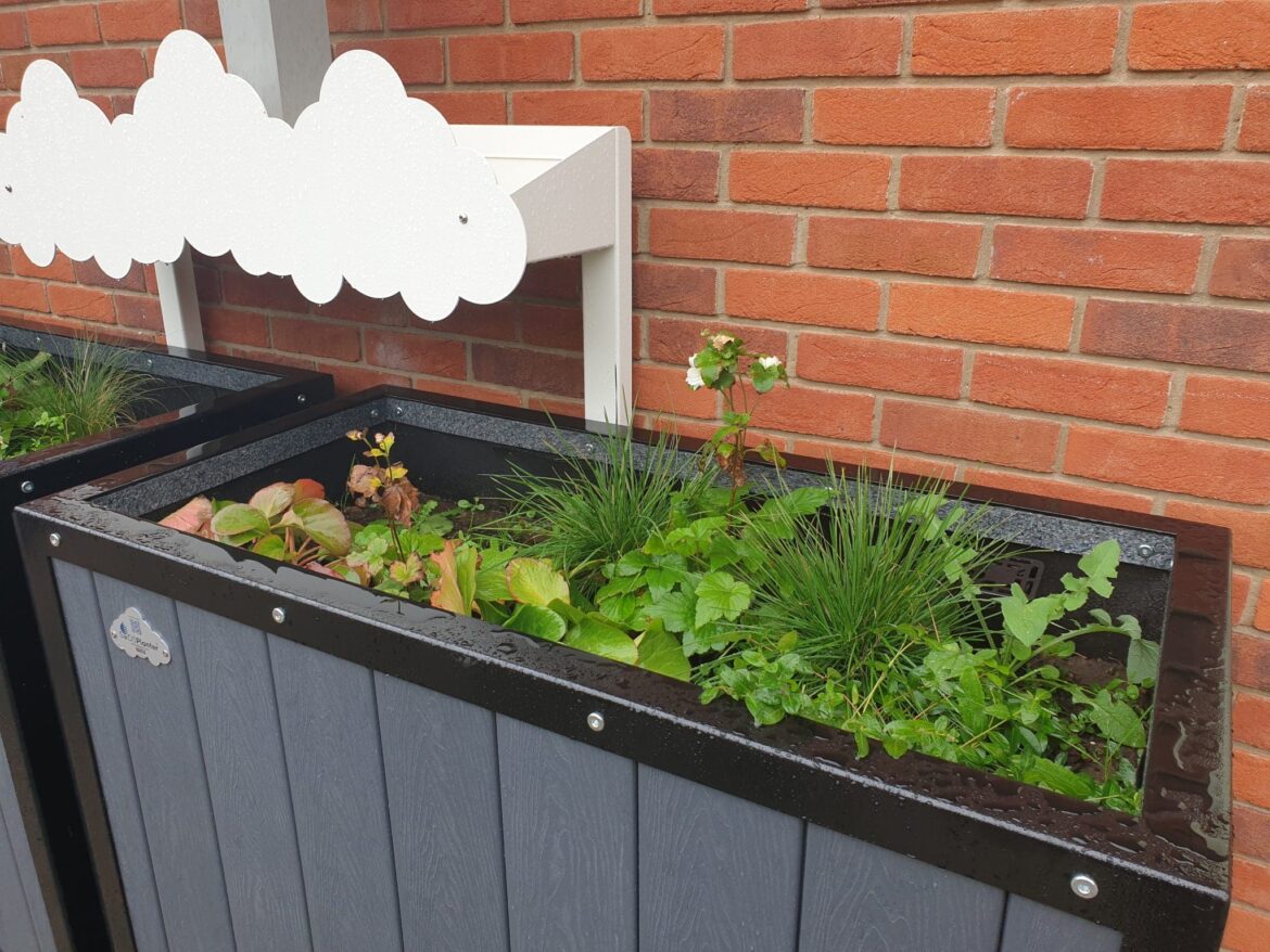 Rain garden demonstrates sustainable flood management system One of the planters at the end of the flood management system