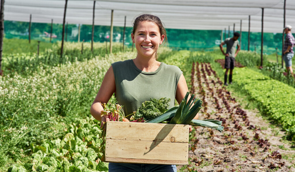 Urbandale Food Pantry launches collaborative community garden with Master Gardeners Urbandale Food Pantry launches collaborative community garden with Master Gardeners