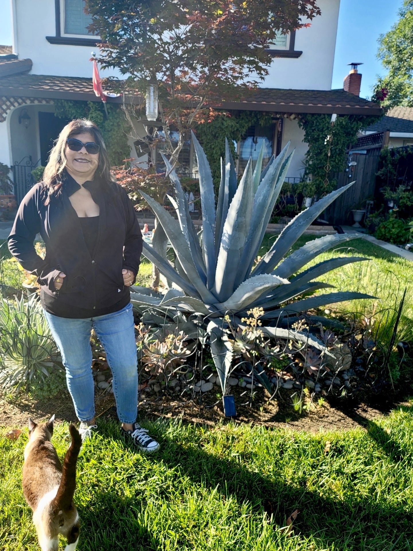 Cup of Jo reader gardens