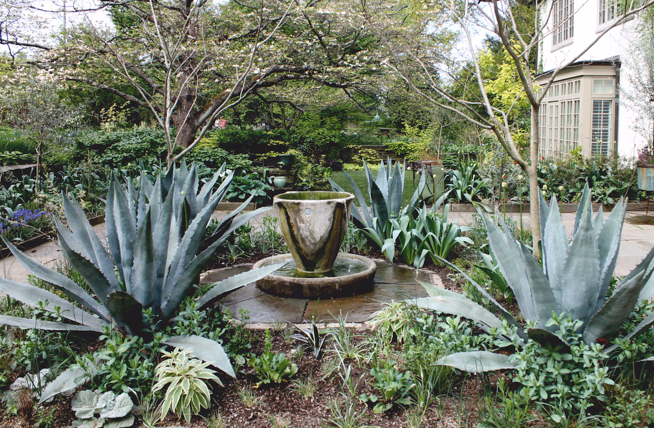 Chanticleer