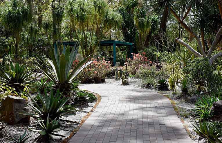 ADVERTISING FEATURE: Celebrate Botanic Gardens Day in the Hunter ADVERTISING FEATURE: Celebrate Botanic Gardens Day in the Hunter