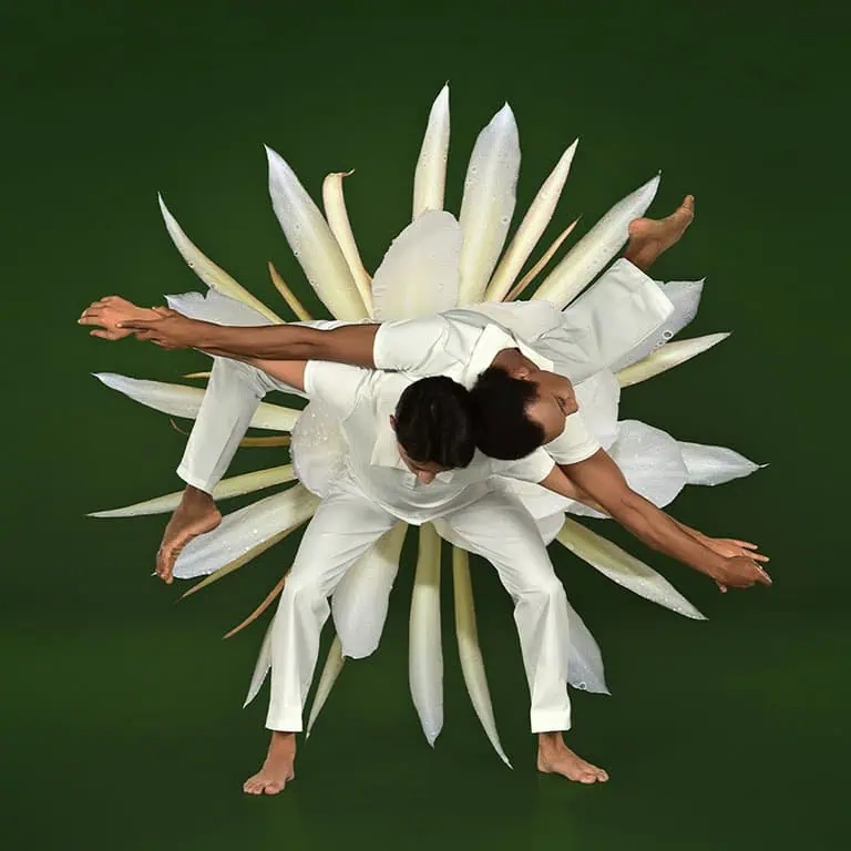 Photo of Ballet in Bloom