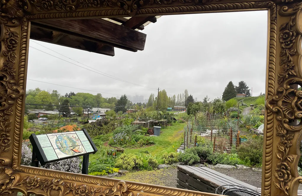 A view of the garden plots at Beacon Food Forest, looking north through a repurposed picture frame. (Courtesy of Elise Evans)