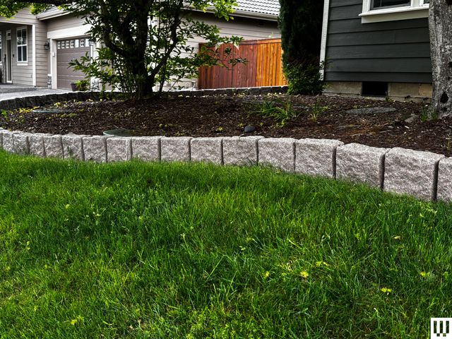 Image may contain: Backyard, Grass, Nature, Outdoors, Plant, Yard, Lawn, Indoors, Interior Design, Vegetation, and Garden