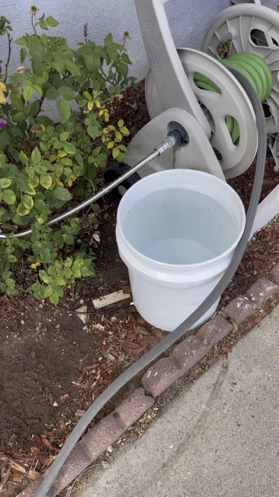 Bucket irrigation in practice