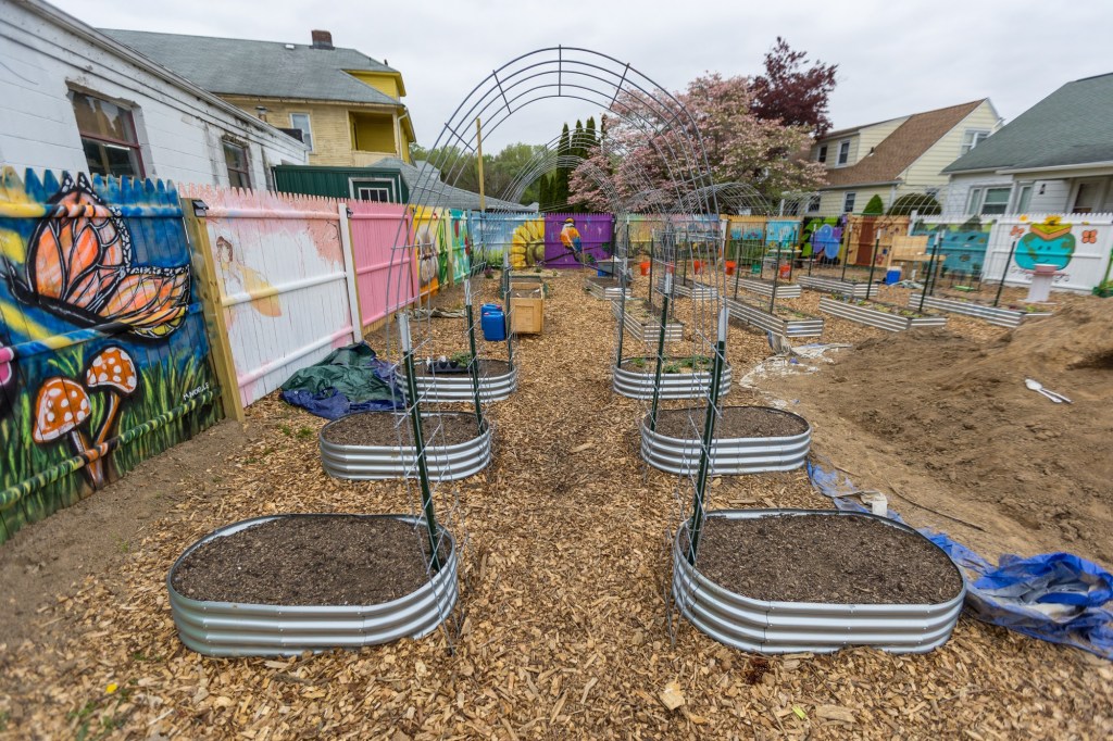 Community gardens bloom in Kingston Community gardens bloom in Kingston