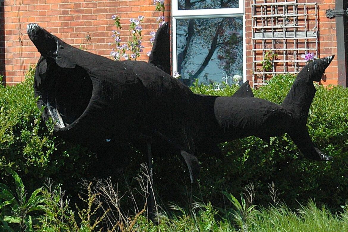 Brushing Up: A seven-metre garden shark on Clontarf Road Brushing Up: A seven-metre garden shark on Clontarf Road