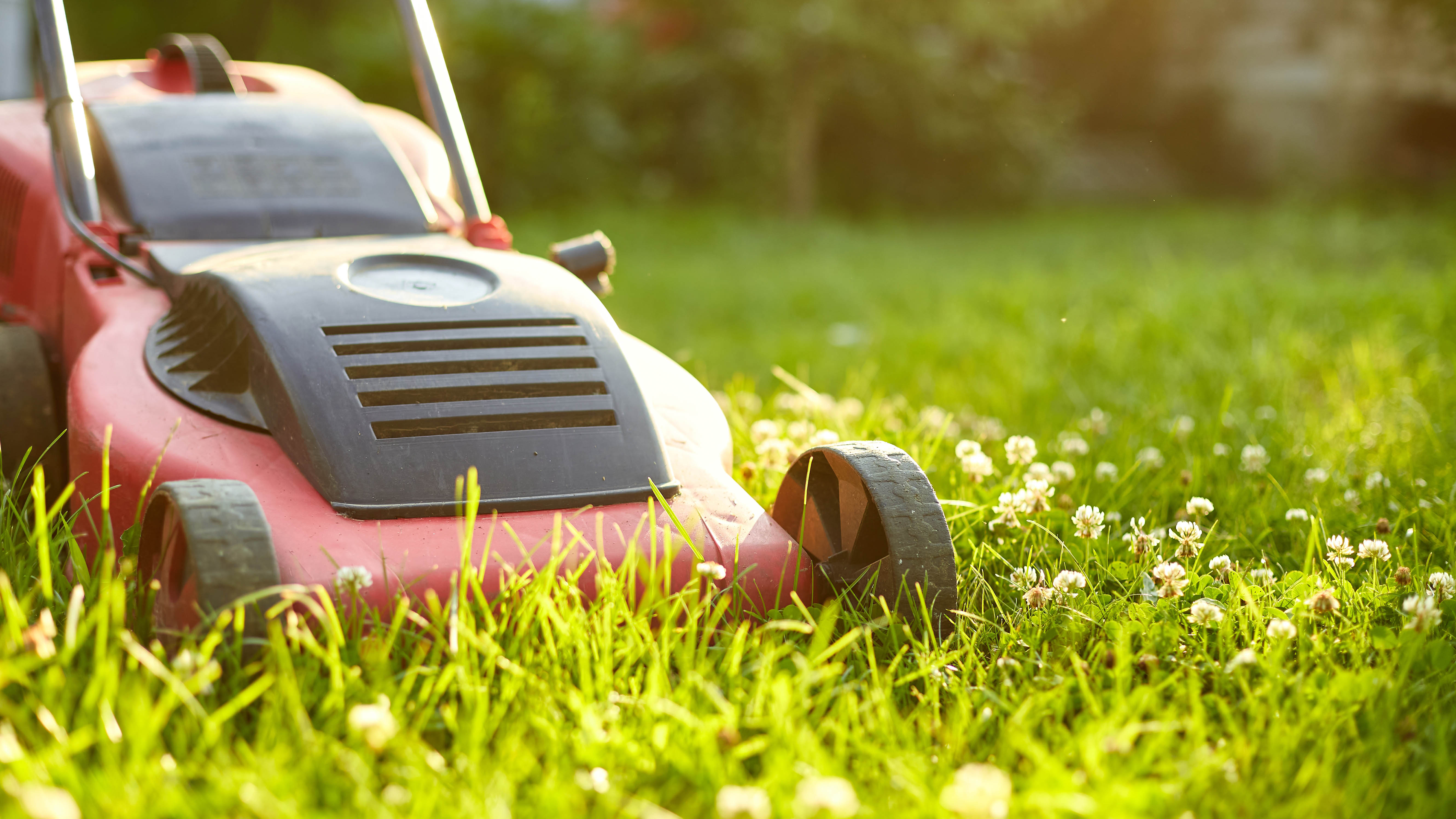 A lawn mower cutting the grass