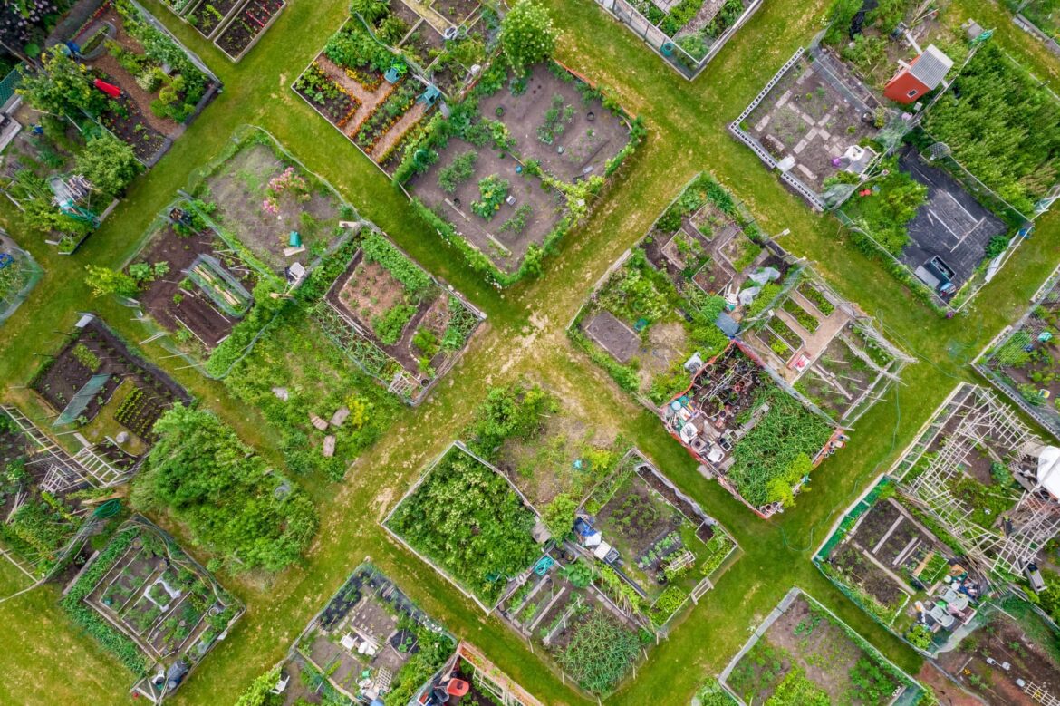New UK-wide initiative aims to strengthen community gardening New UK-wide initiative aims to strengthen community gardening