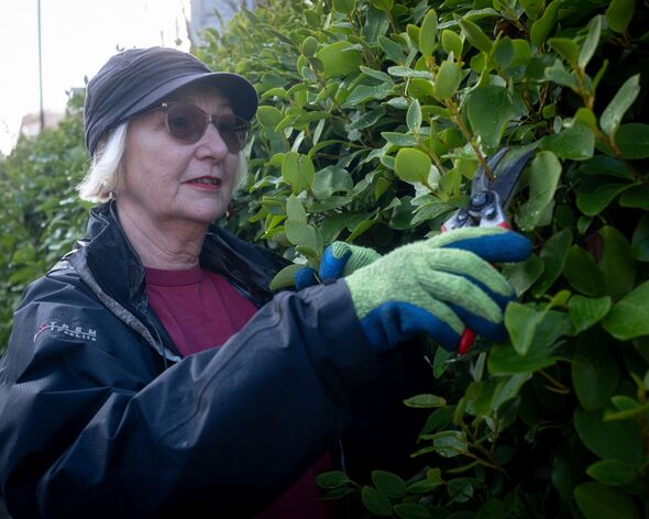 Ellen Fletcher, expert gardener from MyBuilder.com Ellen Fletcher, expert gardener from MyBuilder.com